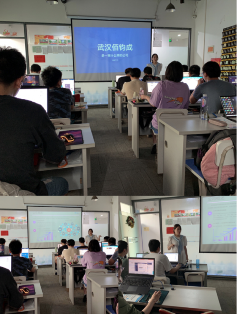 解读企业软件定制：现代企业的智囊助手