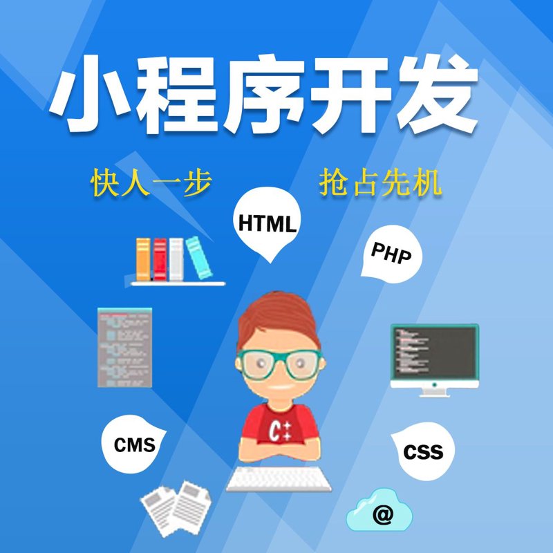 武汉软件开发：助力企业数字化转型的引擎
